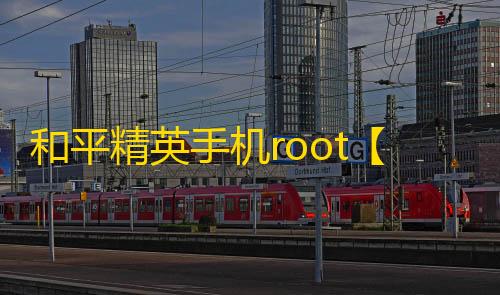 和平精英手机root【404内核】科技