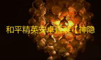 和平精英安卓直装【神隐直装】辅助