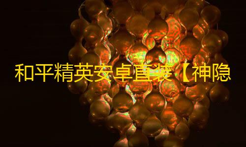 和平精英安卓直装【神隐直装】辅助