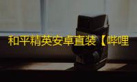 和平精英安卓直装【哔哩哔哩直装】辅助